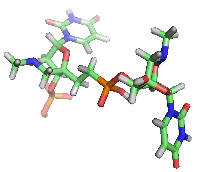 BNA NMe 2 Uridines